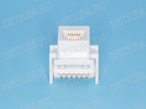 Модуль RJ-12  6P6C, Keystone, белый KES-TV-W фото 4