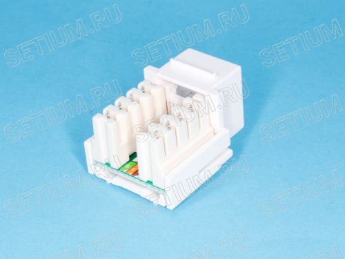 Модуль RJ-45 8P8C кат.5e, Keystone,  универсальный, PCnet EKTV-UD-04 фото 3