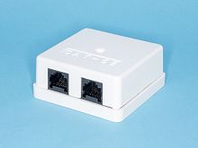 Розетка компьютерная, 2 порта  RJ-45 кат. 5е,  тип 110,  белая TJC2-5H-W