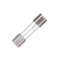 Предохранитель 5х20мм, стеклянный, с задержкой, 1А/250В (GSL) FS-52GT-1.0/250